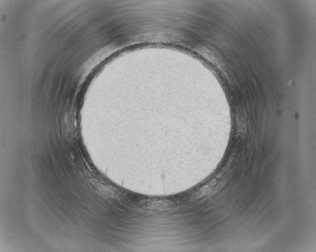 X0000062871070200602031711