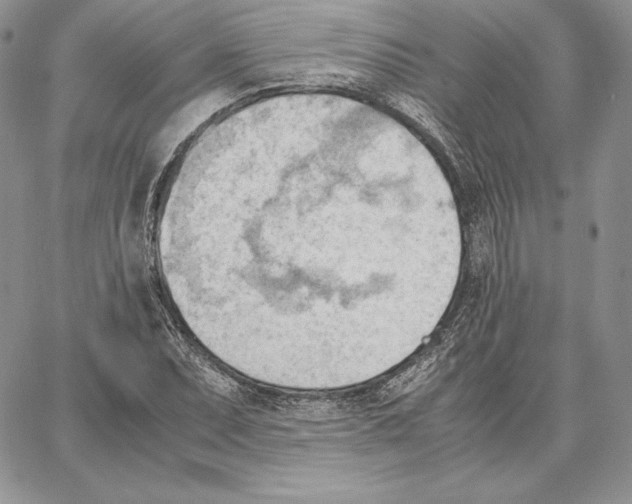 X0000062871071200602031711