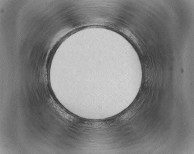 X0000062871072200602031711