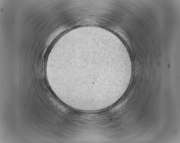 X0000062871075200602031711