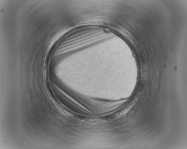 X0000062871077200602031711