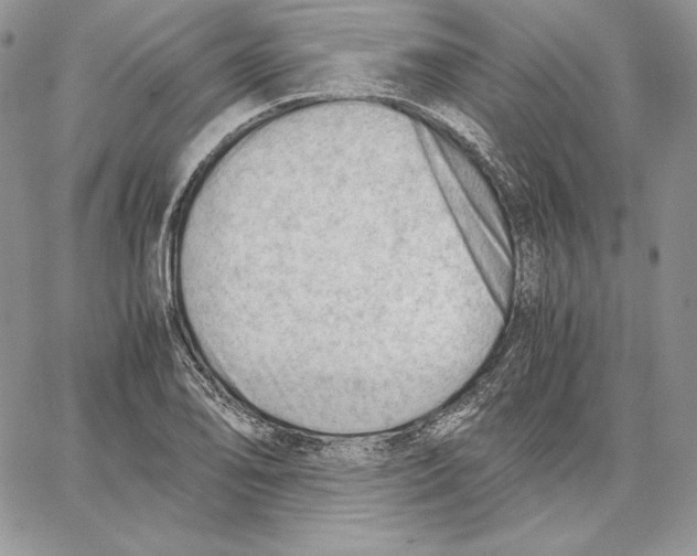 X0000062871078200602031711