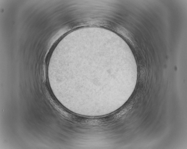 X0000062871079200602031711