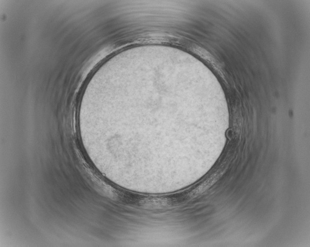 X0000062871083200602031711