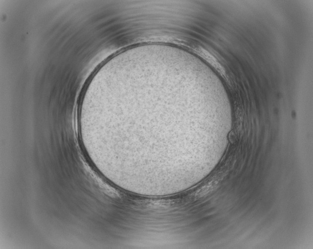 X0000062871084200602031711