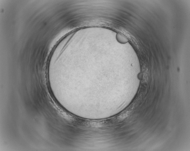 X0000062871086200602031711