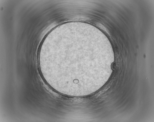 X0000062871087200602031711