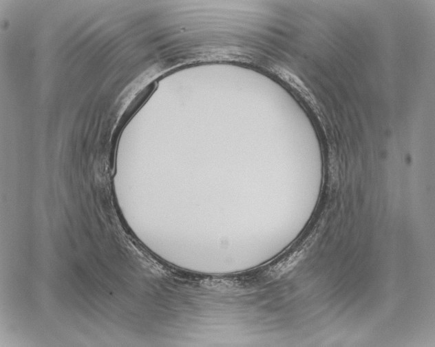 X0000062871089200602031711