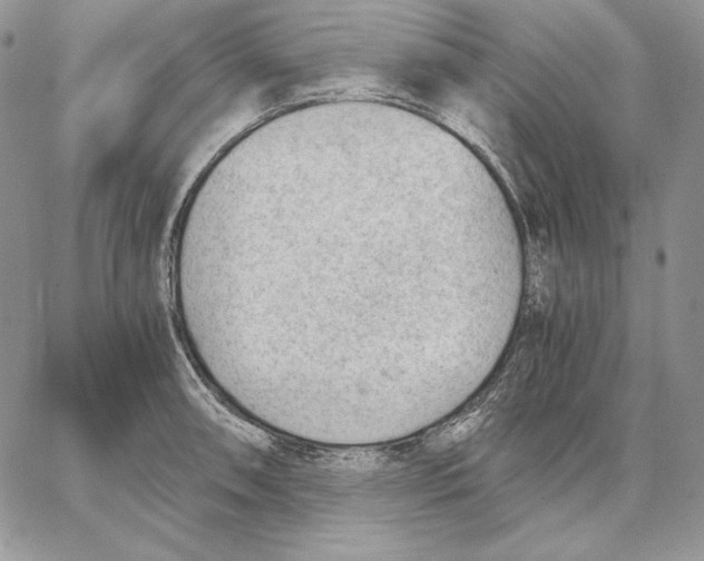 X0000062871090200602031711