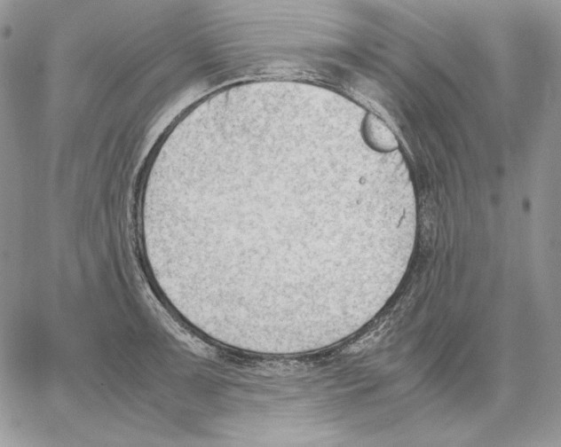 X0000062871091200602031711