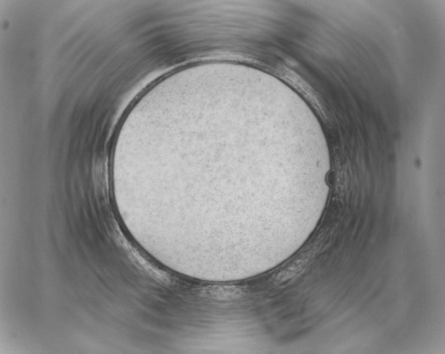 X0000062871092200602031711