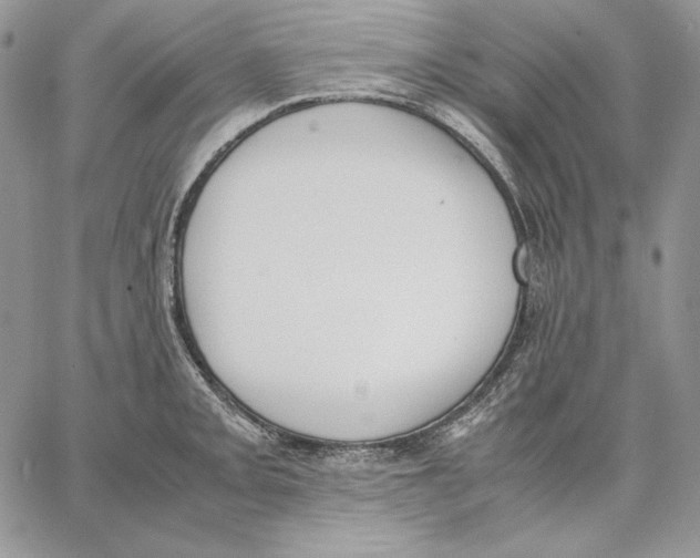 X0000062871093200602031711