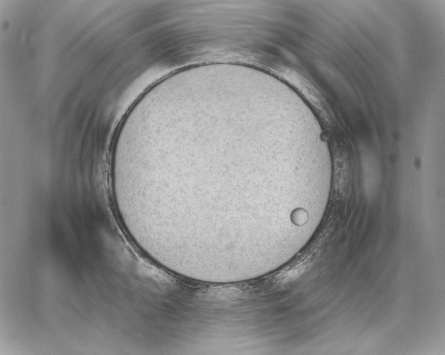 X0000062871094200602031710