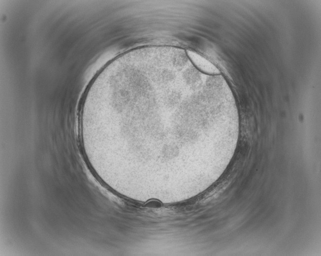 X0000062871095200602031710