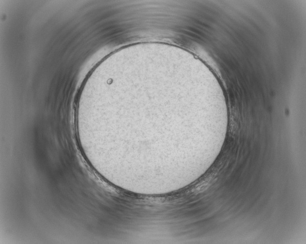 X0000062871096200602031710