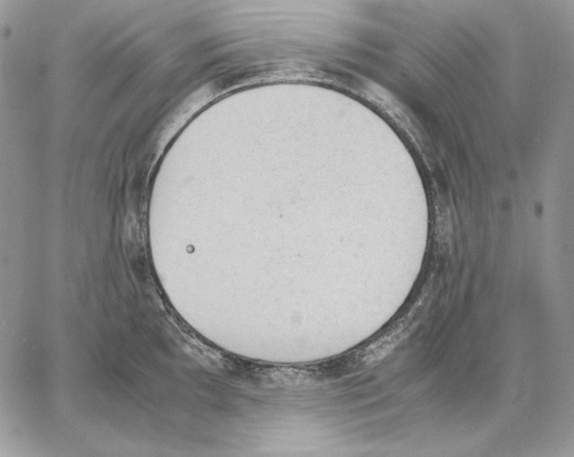 X0000062871097200602031710