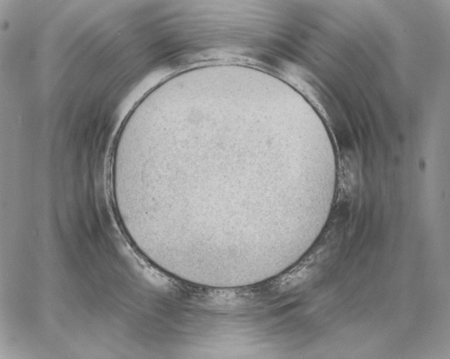 X0000062871098200602031710