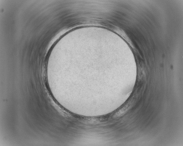 X0000062871101200602031710