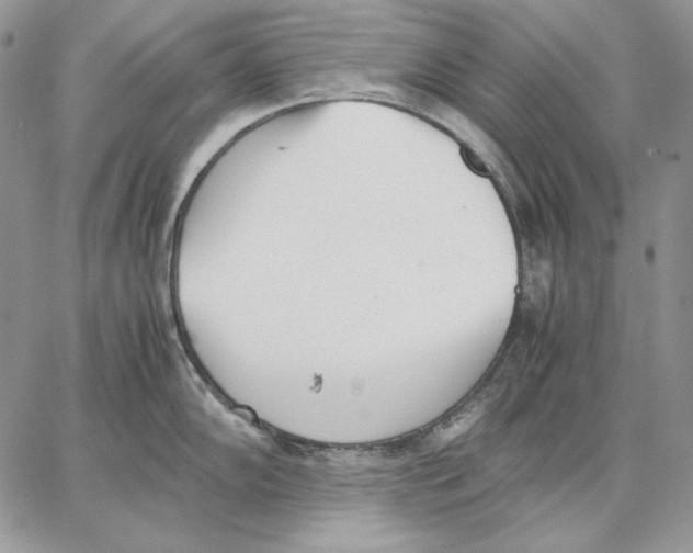 X0000062871102200602031710