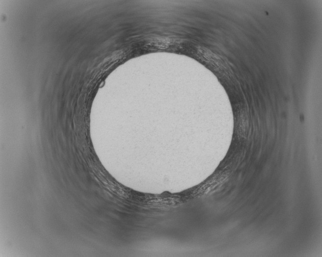 X0000062871105200602031709