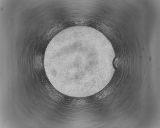 X0000062871106200602031709