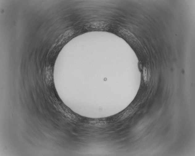 X0000062871107200602031709