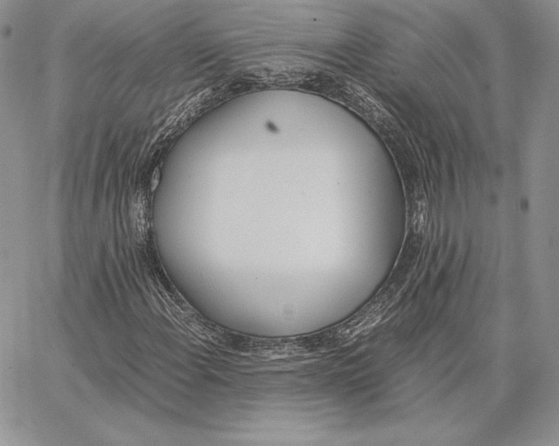 X0000062871108200602031710