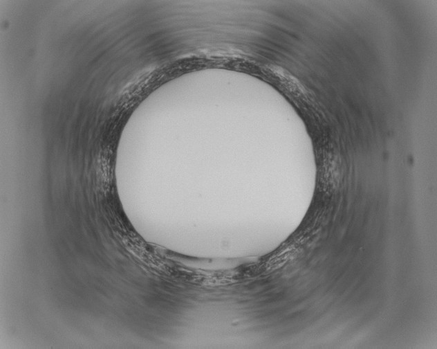 X0000062871110200602031710