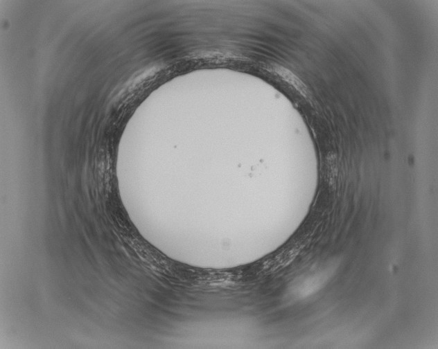 X0000062871111200602031710