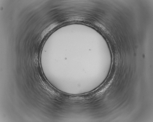 X0000062871113200602031710