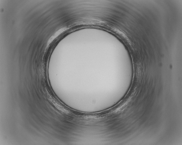 X0000062871114200602031710