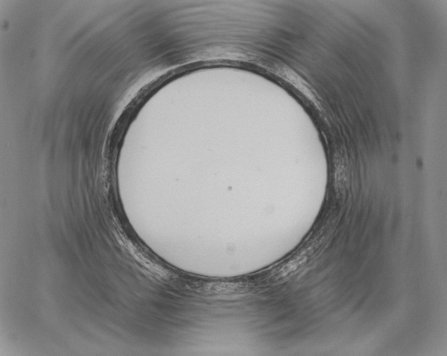 X0000062871116200602031710