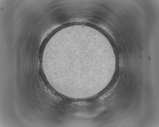 X0000062871117200602031710