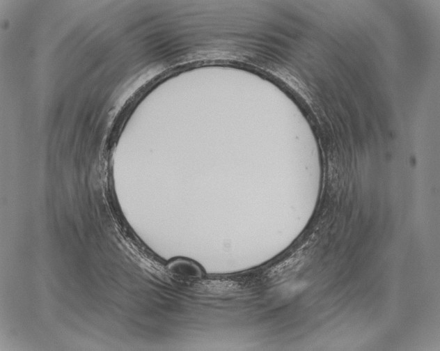 X0000062871119200602031710