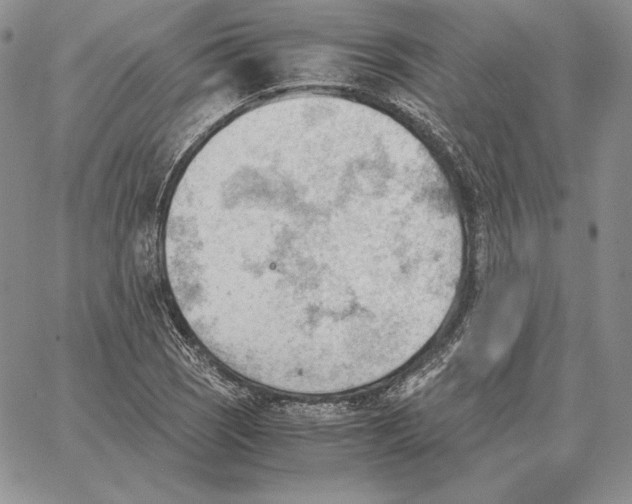 X0000062871121200602031710