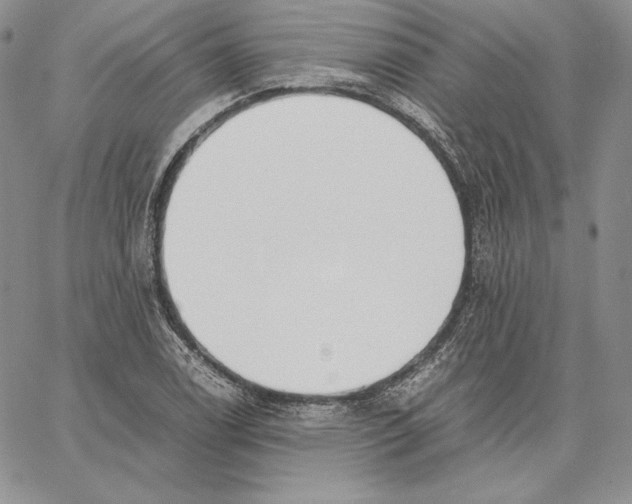 X0000062871122200602031710