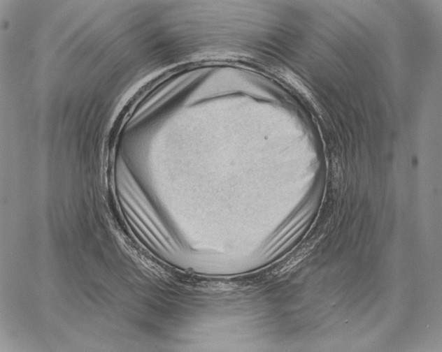 X0000062871124200602031710