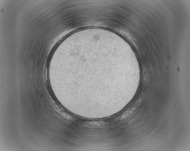 X0000062871125200602031710