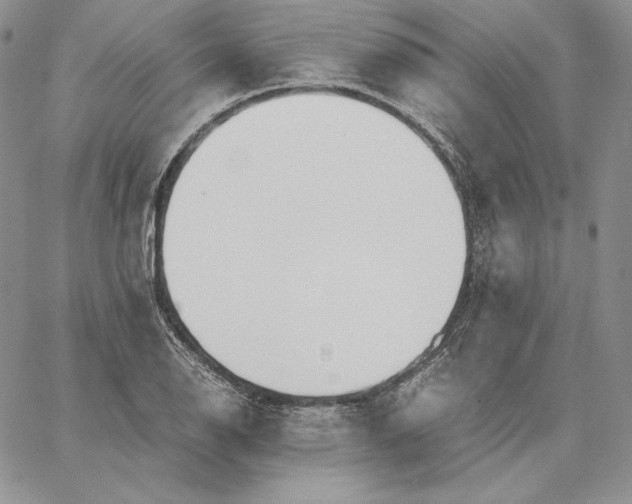 X0000062871126200602031710