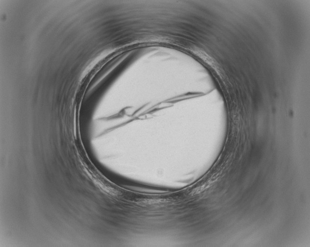 X0000062871127200602031710