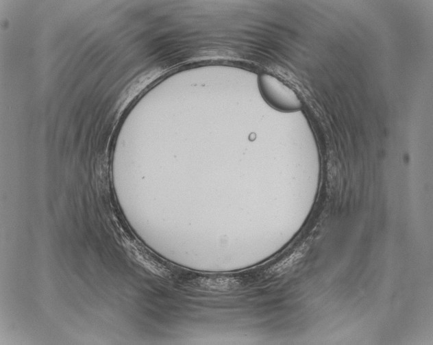 X0000062871129200602031710