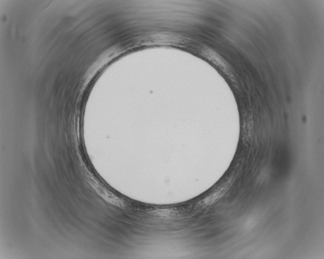 X0000062871130200602031710