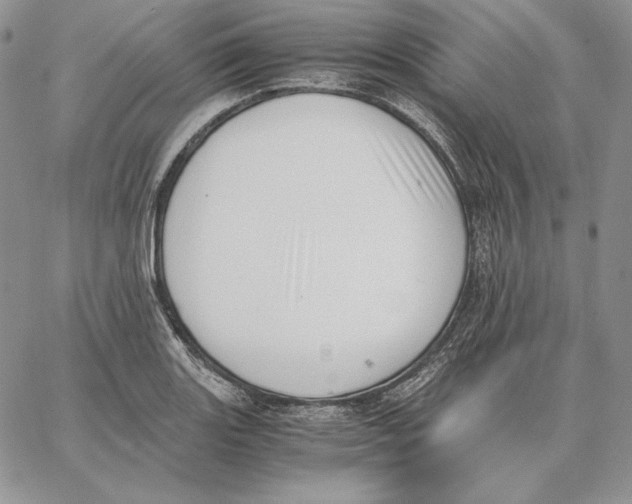 X0000062871131200602031710