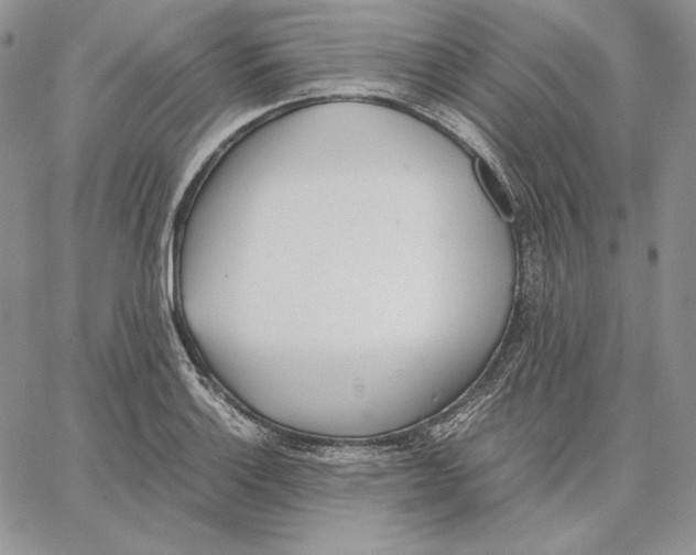 X0000062871132200602031710