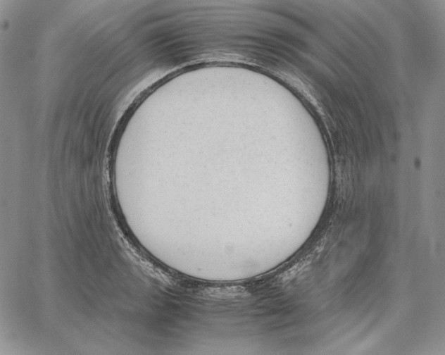 X0000062871133200602031710