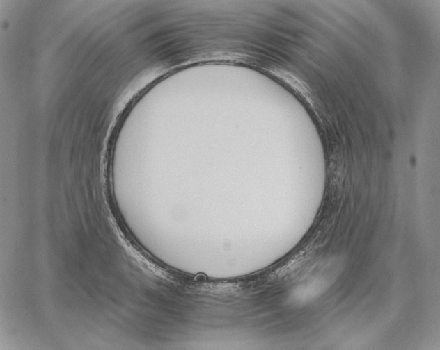 X0000062871135200602031710