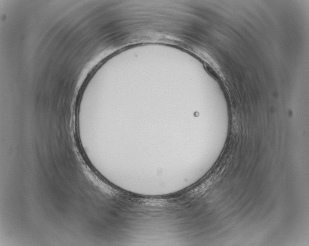 X0000062871136200602031710