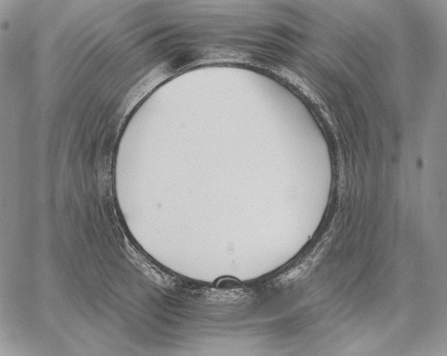 X0000062871137200602031710