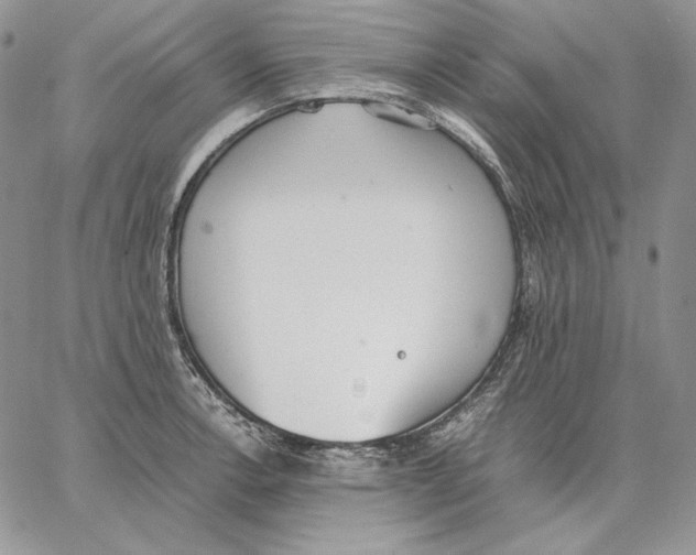 X0000062871138200602031710