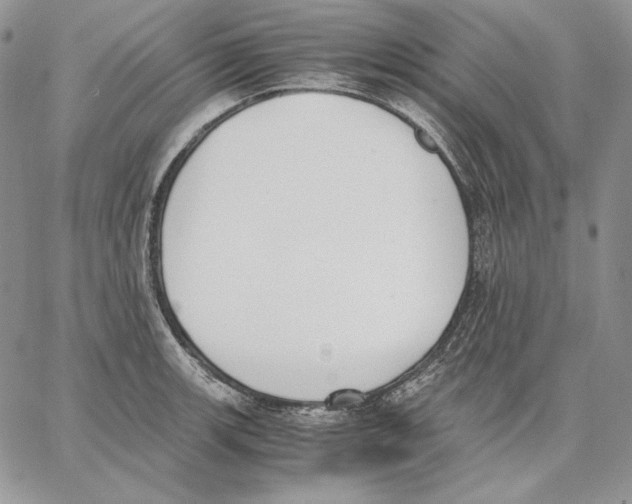 X0000062871139200602031710